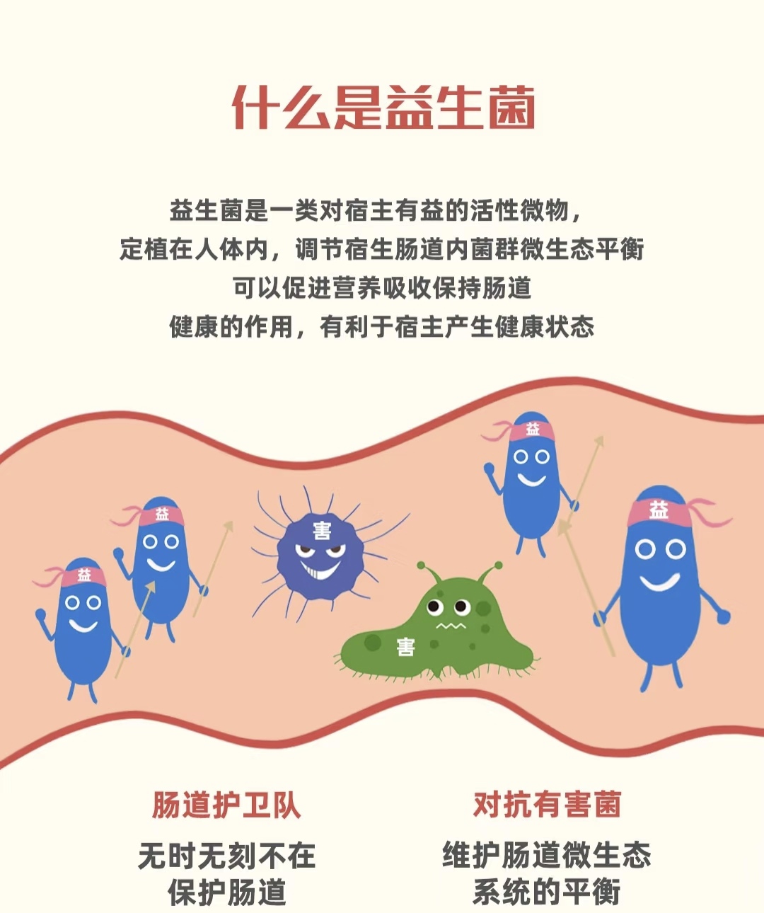 益生菌 腸道健康的忠誠守護者