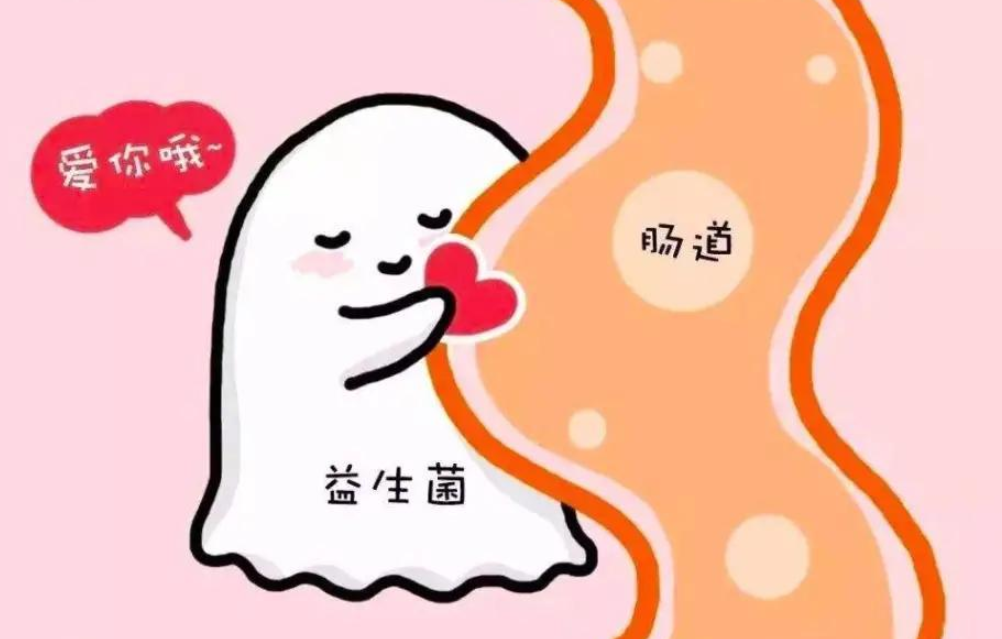 益生菌如何選擇？別盲目購買，這款國產益生菌值得你信賴