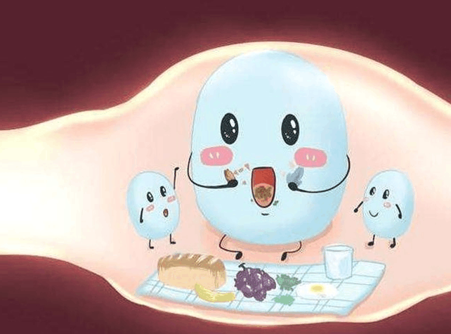 胃酸關隘下，益生菌的生存之戰